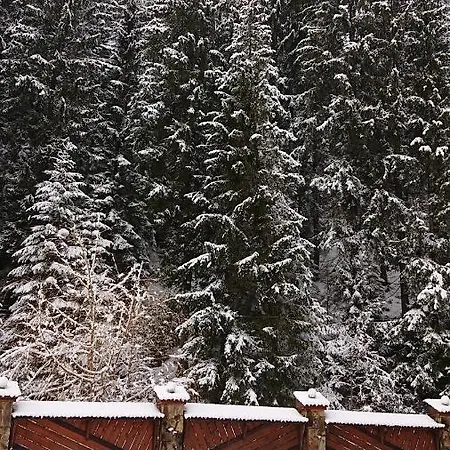 любе * ヤブルニツァ