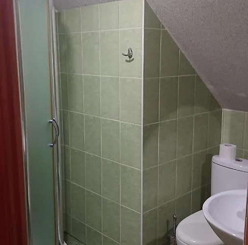 Otel любе *